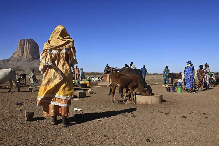 Pour nous protger des canicules nous pouvons nous inspirer de ce qui se fait en Afrique