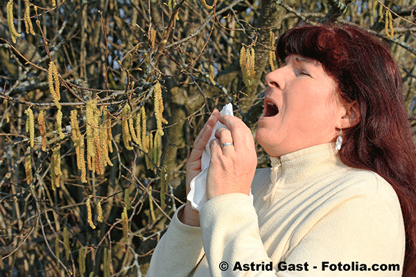 Les allergies classes quatrime maladie chronique par l