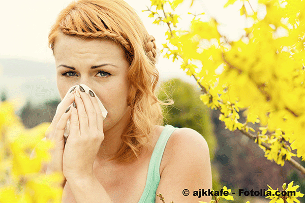 Les allergies du printemps