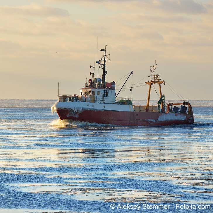 La pratique de la pêche électrique est toujours tolérée dans l