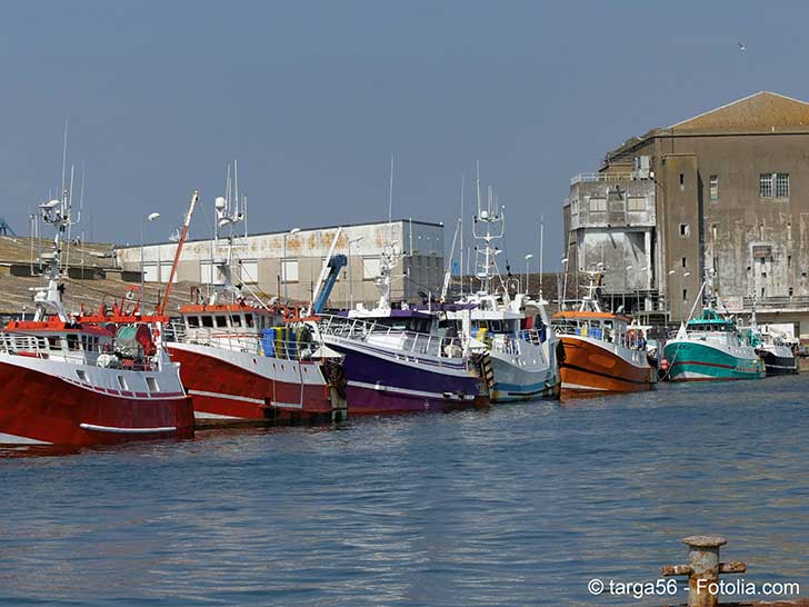 Les députés européens approuvent l’aide à la pêche dans les RUP