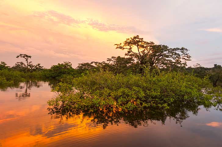 La vie sauvage seffondre cest la perte de la biodiversit