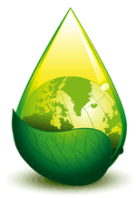 Doutes sur la lgitimit des biocarburants de premire gnration