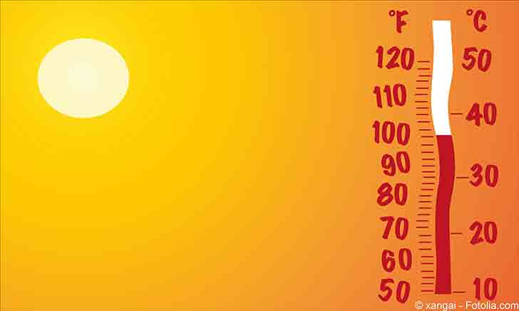 84 dpartements en alerte canicule en France