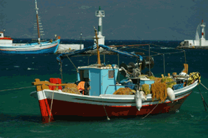 Adoption du Fonds européen des affaires maritimes et de la pêche, le FEAMP