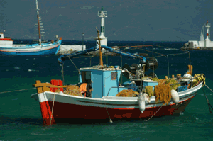 Un sujet qui fche les europens, le rejet des poissons en mer