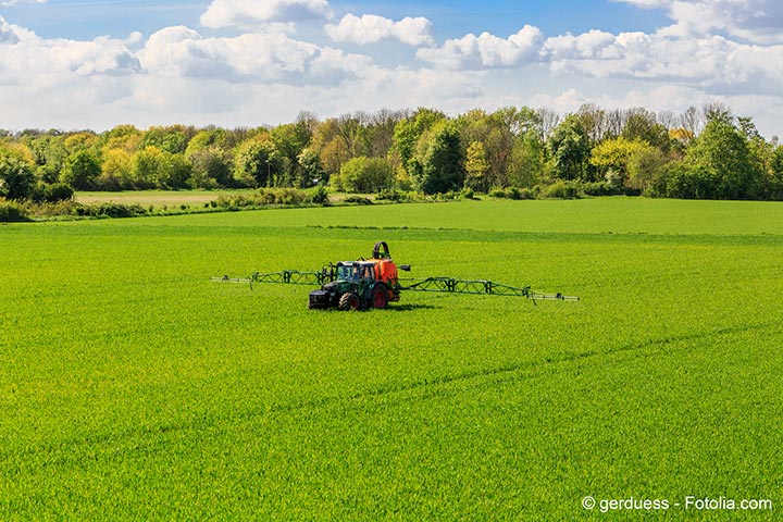 Crise agricole : la FNSEA rclame des aides pour la cessation d