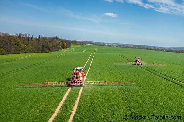 Loi Duplomb : la polmique enfle autour du retour des pesticides
