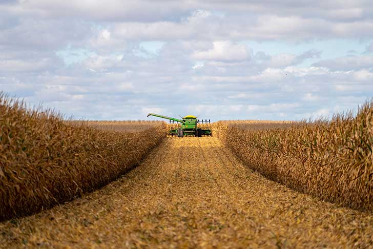 Les syndicats agricoles réclament au gouvernement des dispositifs pour garantir leur revenu