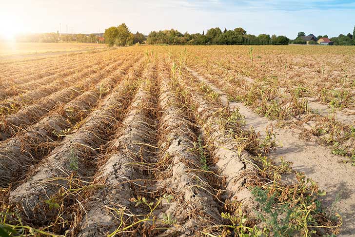 Crise agricole et environnementale : tensions en Europe