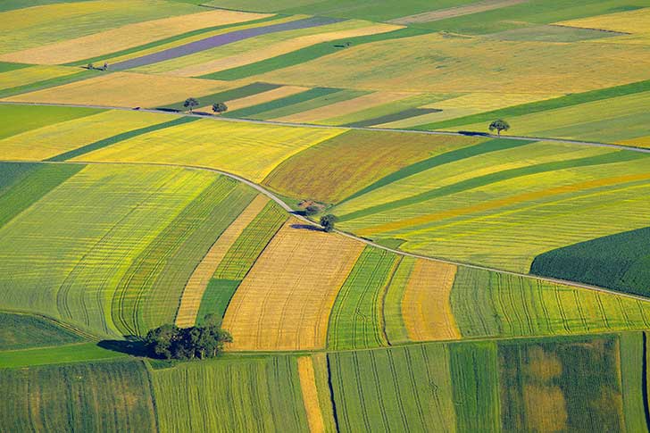 La colre des paysans est fonde sur linsuffisance de leur rmunration