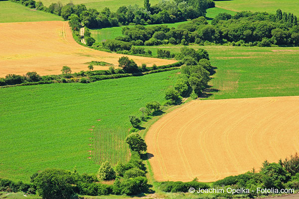 Lunion europenne dcide dune nouvelle politique agricole commune