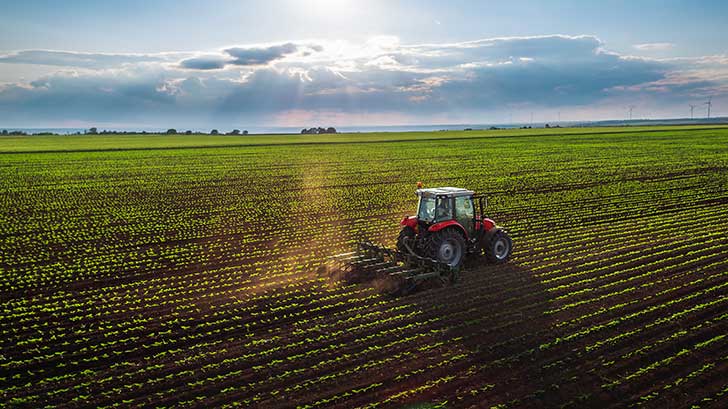 Un tiers de la loi d’orientation agricole censuré