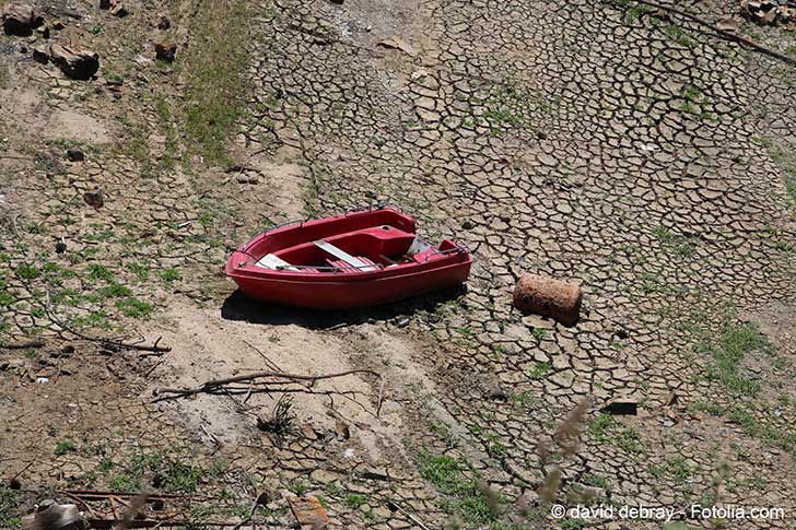 Action d’un professeur d’adaptation climatique face à des pics de température allant jusqu’à 51°C