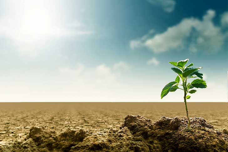 Budget 2025 et climat : un engagement en question
