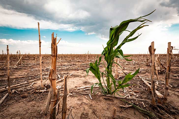 Le rythme du rchauffement climatique bat tous les records