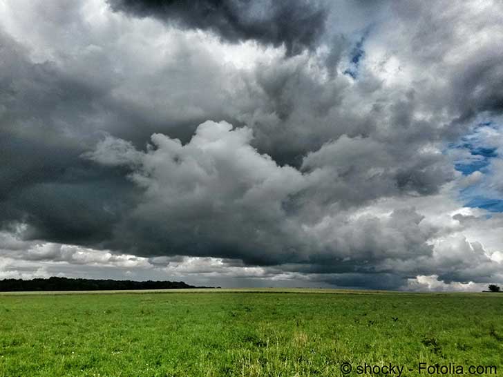 L’impact du changement climatique sur la santé n’est qu’à ses débuts
