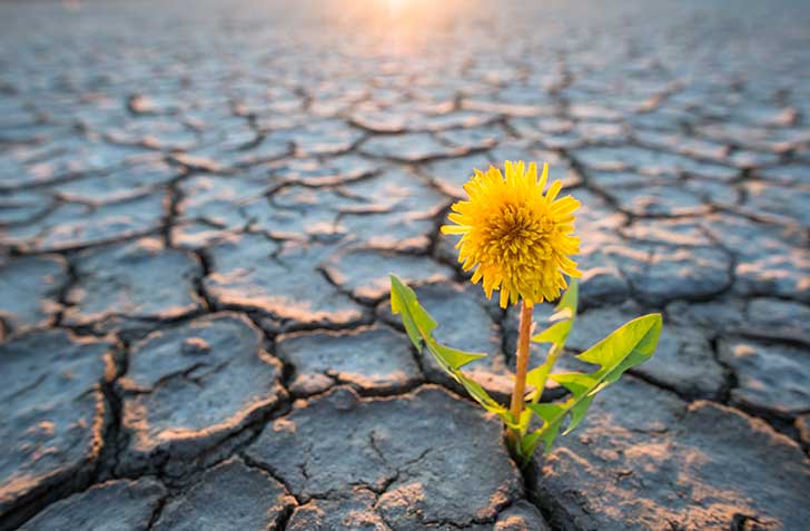 Changement climatique et RiskManagement (Pr Jean-Paul Louisot)