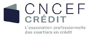 Alerte  lescroquerie au crdit  les recommandations de CNCEF Crdit