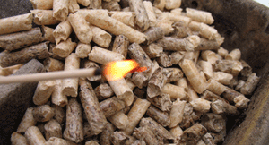 La combustion du bois ne dégage pas de CO2 mais produit des particules fines