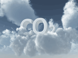 Retard dans la mise au point des enchres des quotas de CO2