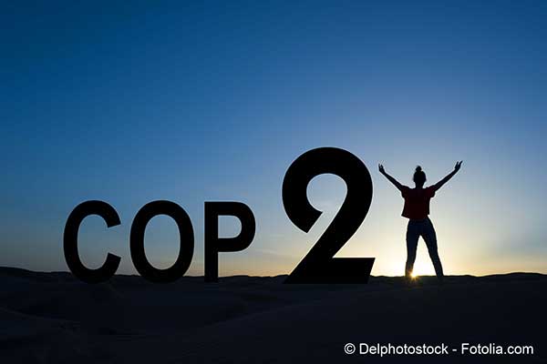 Les espoirs se portent sur la COP 21 lance officiellement par la France le 10 septembre dernier