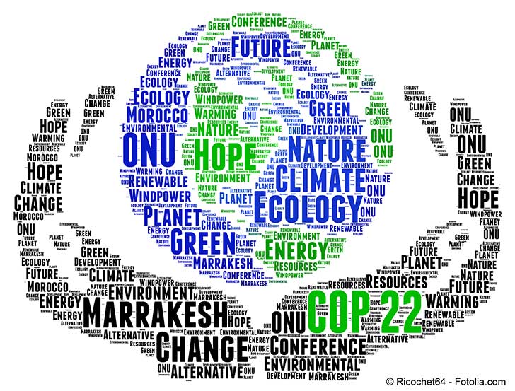 A Marrakech  la COP 22 le financement du climat sera au coeur des dbats