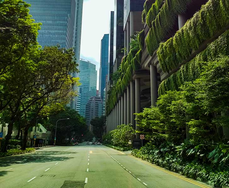 Pour sauver la plante la solution passe par zro mission nette de gaz  effet de serre