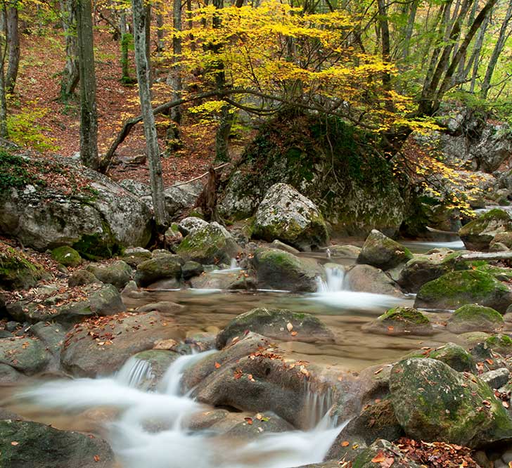 La lutte contre le réchauffement climatique et la protection de la biodiversité sont liées (Erik Kauf)