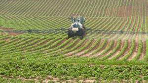 Les agriculteurs contestent la mise en application de la directive nitrate europenne