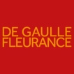 De Gaulle Fleurance conseille Secil