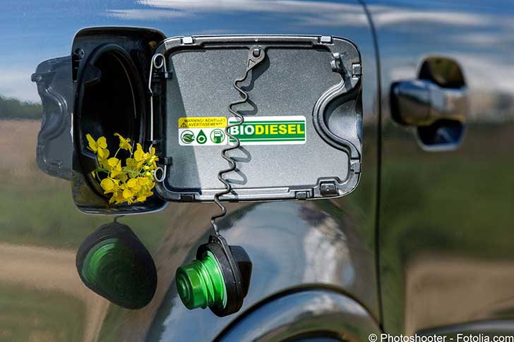 La France devra sans doute importer une partie du biodiesel dont elle veut disposer