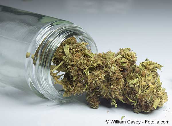 La vente libre du cannabis dans lEtat de Washington bnficie au commerce local