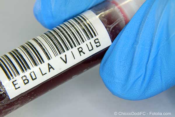 Il faut patienter quelque mois avant que lpidmie dEbola soit limine pour de bon