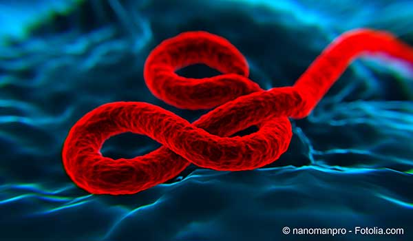 Les consquences de lEbola ont t sous-estimes en toute connaissance de cause