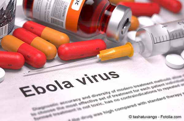 Ebobola revient en force en Guine et en Sierre Lone