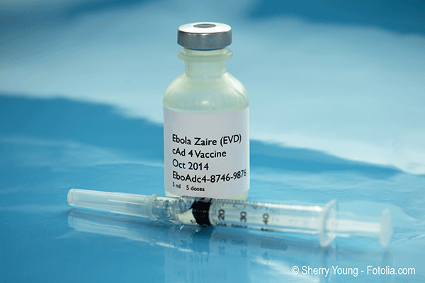 Pour Ebola la mise au point dun vaccin peut se heurter  des obstacles imprvus