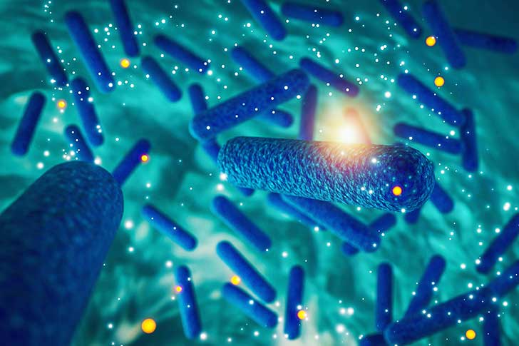 E.coli : une enfant dcde, 26 personnes malades  Saint-Quentin