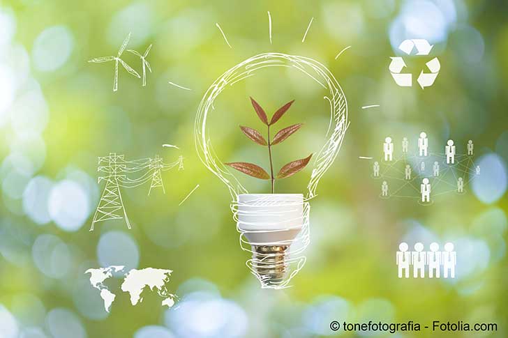 Transition énergétique : chaque secteur peut apporter sa pierre à l’édifice