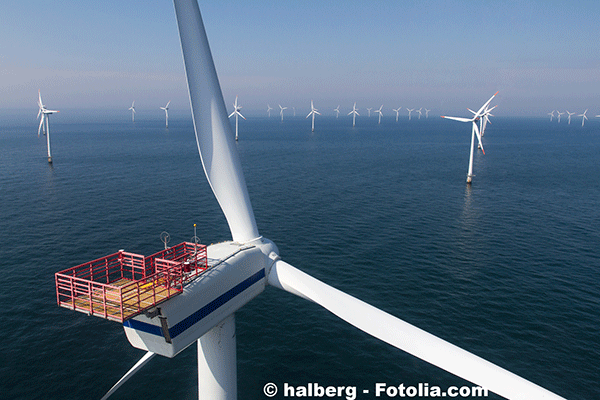 Lolien en mer nest pas le bienvenu le long des ctes franaises