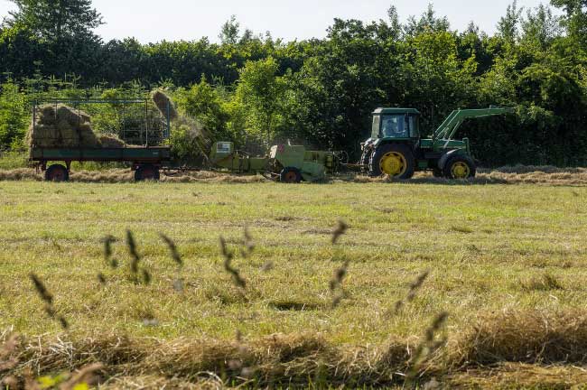 Quelles sont les aides disponibles pour les industries agroalimentaires ?