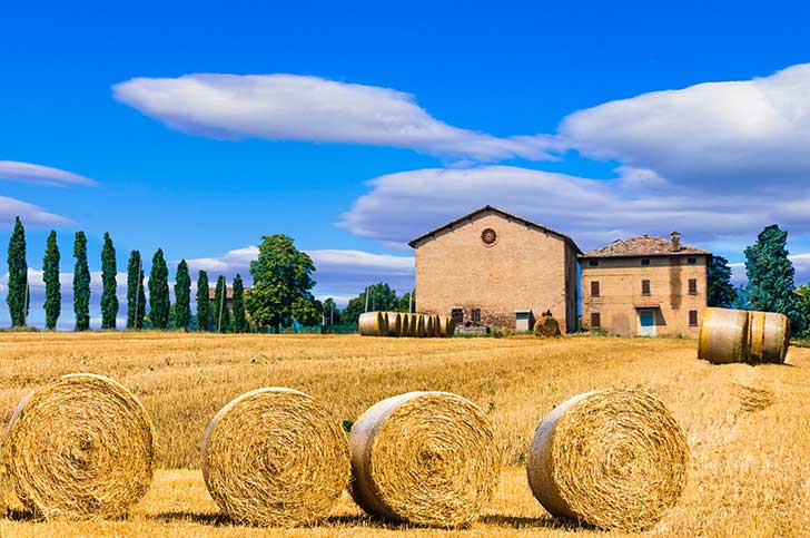 La loi agricole en cours de discussion tient largement compte des désirs exprimés par les fédérations paysannes