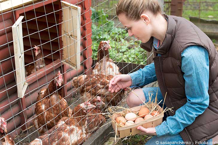 Avec la loi agriculture et alimentation les prix finaux ne peuvent qu’augmenter