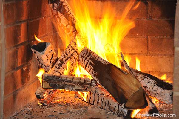 Emission de dioxines par le chauffage au bois