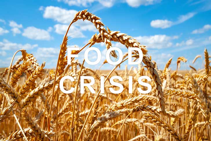 Le monde est actuellement expos� � une crise alimentaire sans pr�c�dent
