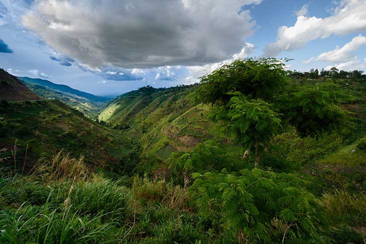 Dforestation de la fort dAfrique centrale