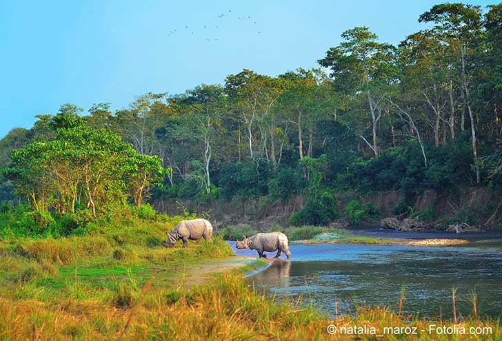 L’homme menace les sites naturels classés de l’Unesco