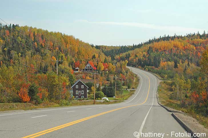 Au Canada les incendies de forêts sont à la mesure de la taille du pays