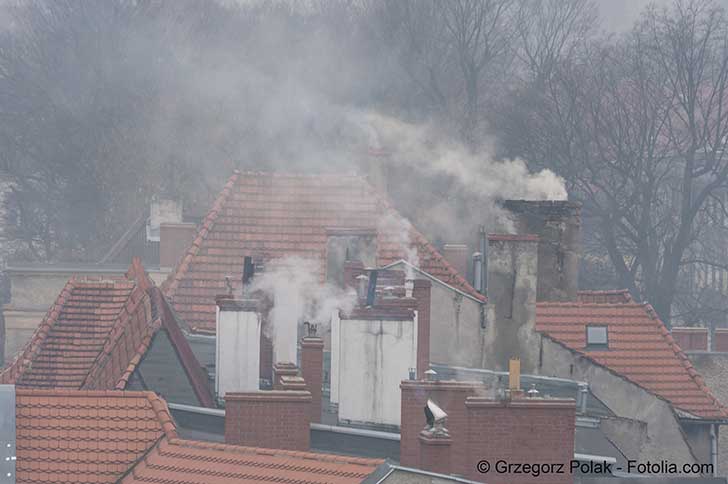 Emission de dioxines par le chauffage domestique au bois