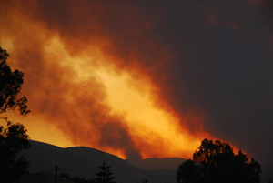 Grce, incendie et spculation immobilires